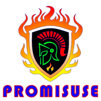 PROMISUSE